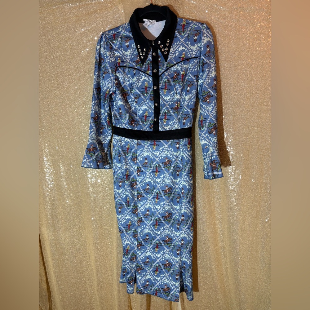 Unique Vintage Western Scenic Dress